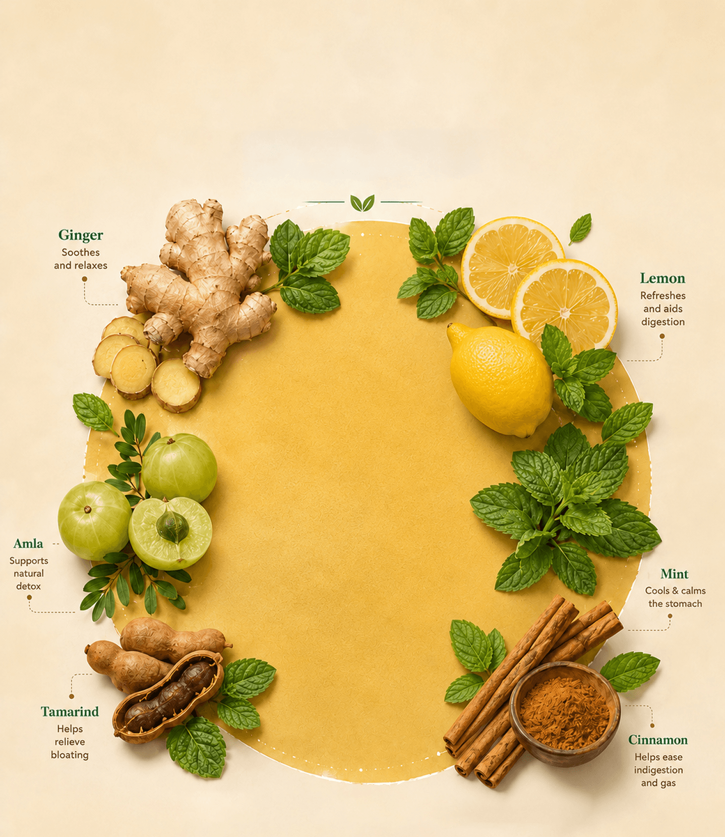 GENO natural ingredients — ginger, lemon, amla, mint, tamarind, and cinnamon and their benefits